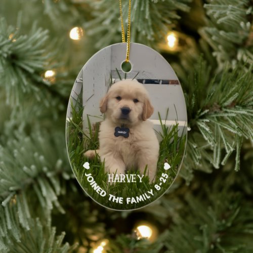 My Dog Photo Christmas