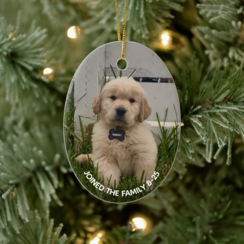 My Dog Photo Christmas