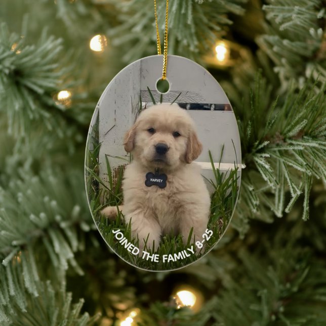 My Dog Photo Christmas Ceramic Ornament (Tree)