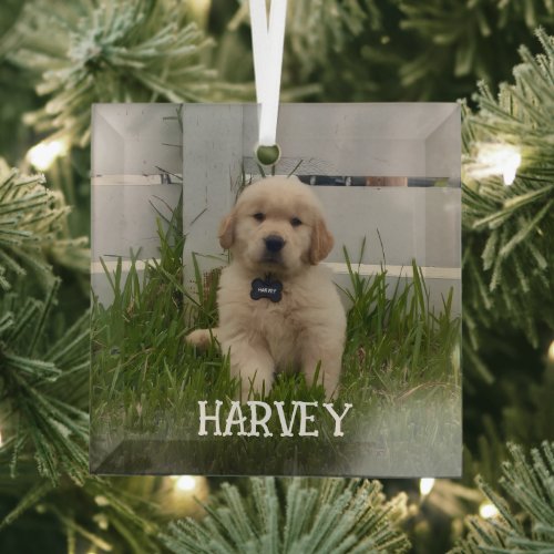My Dog Photo Christmas