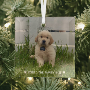 My Dog Photo Christmas Glass Ornament