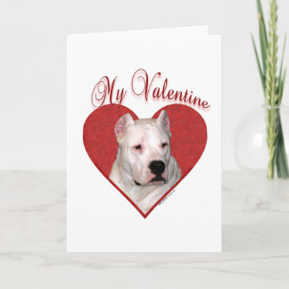 My Dogo Argentino Valentine Holiday Card