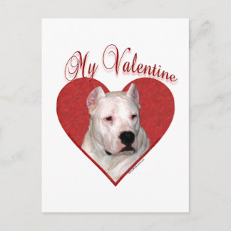 My Dogo Argentino Valentine Holiday Postcard