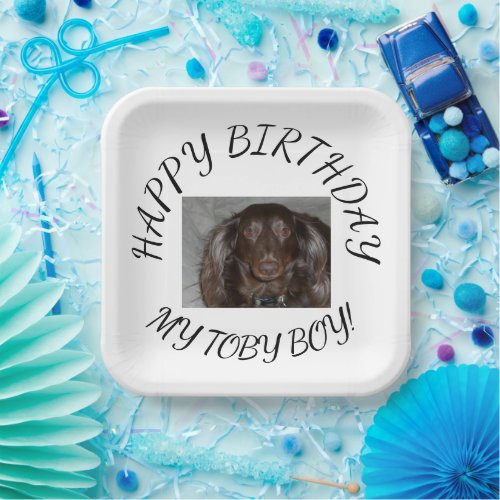 My Dogs Birthday Paper Plates