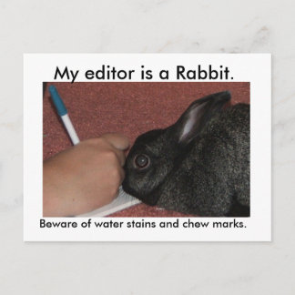 My editor is a Rabbit. Postcard