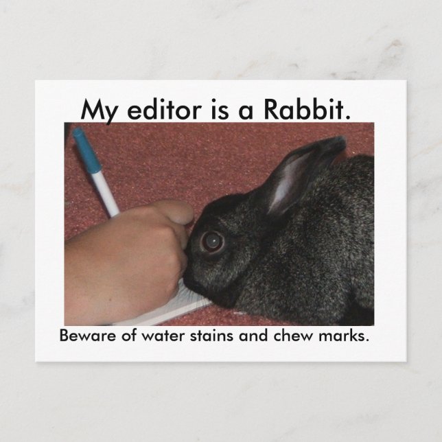 My editor is a Rabbit. Postcard (Front)