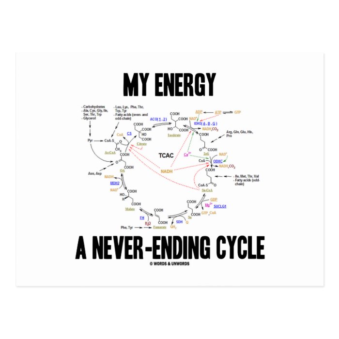 My Energy A Never Ending Cycle (Krebs Cycle) Postcards