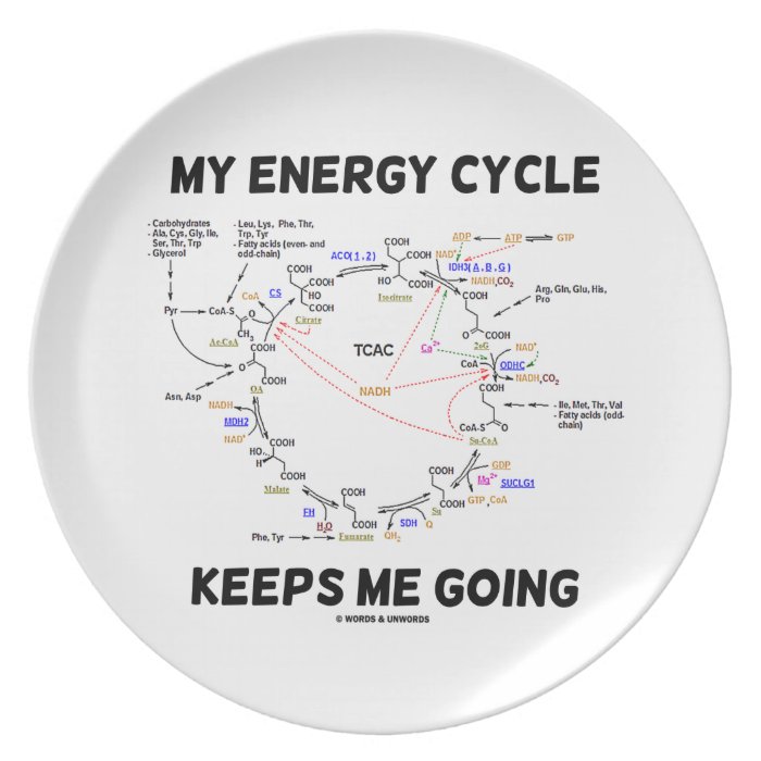 My Energy Cycle Keeps Me Going (Krebs Cycle) Plate