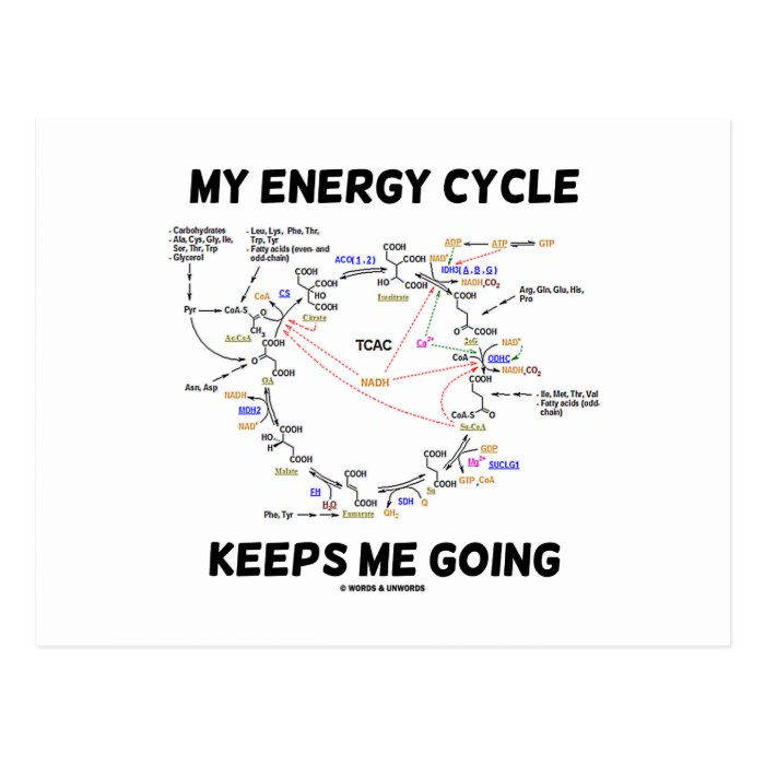 My Energy Cycle Keeps Me Going (Krebs Cycle) Postcards