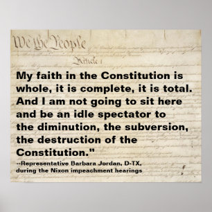 My Faith in the Constitution is Whole Protest Poster