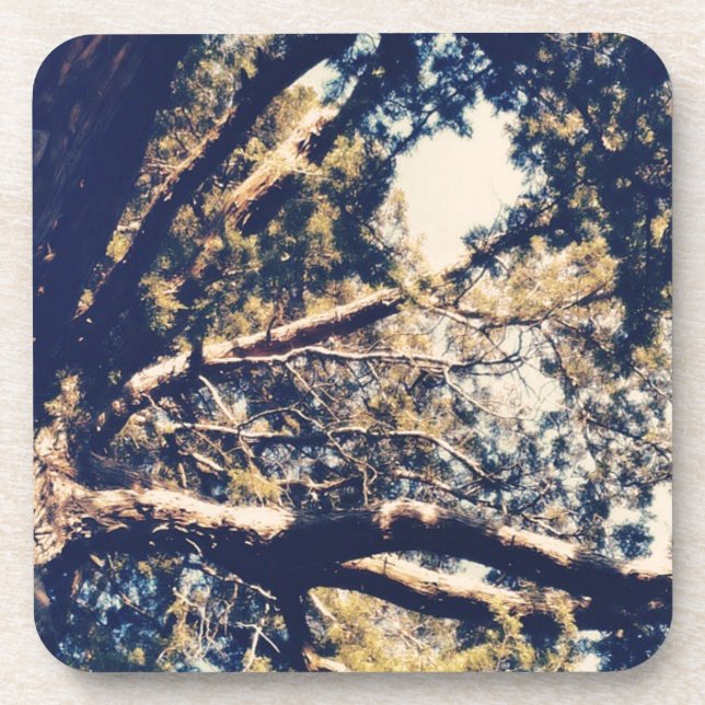 My fave Tree Coaster (Front)