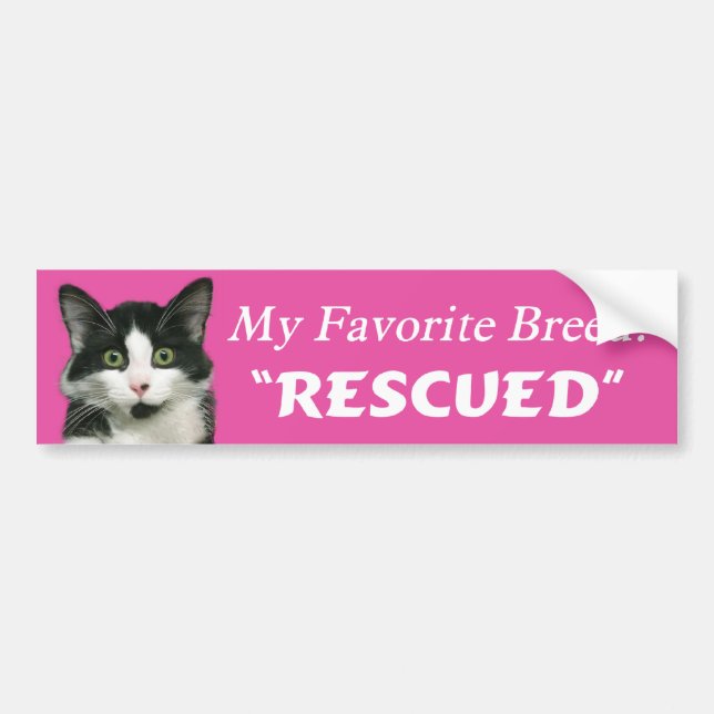 My Favorite Breed Cat Bumper Sticker (Front)
