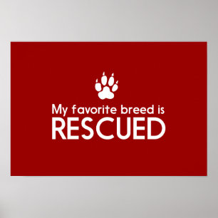My Favorite Breed is Rescued Poster