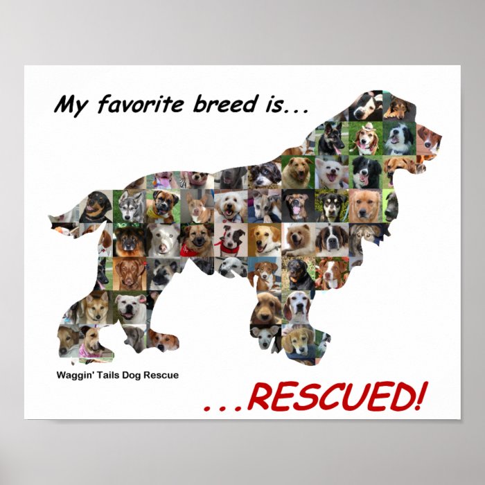 My Favorite Breed is Rescued poster