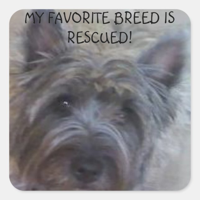 My Favorite Breed is Rescued! Square Sticker (Front)