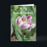 **MY FAVORITE GARDNER** ON YOUR BIRTHDAY CARD<br><div class="desc">I KNOW HOW HARD IT IS TO TAKE A DAY OFF FROM "BEING A WOMAN SOMETIMES" BUT IT IS ***HER DAY*** LET HER KNOW SHE SHOULD DO WHATEVER ***MAKES YOUR SISTER THE  HAPPIEST*** AND THANK YOU FOR STOPPING BY 1 OF MY 8 STORES!</div>