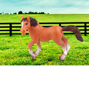 My Favorite Horse Throw Pillow