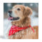 My Favorite Memories Pet Memorial Photo Album