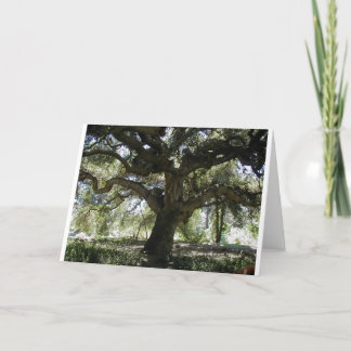 My Favorite Oak Tree Card