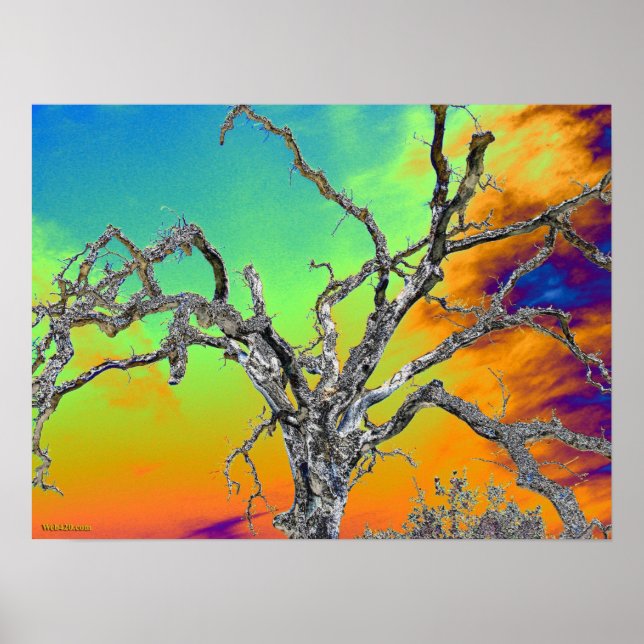 my favorite psychedelic tree poster (Front)