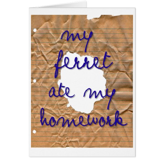 My Ferret Ate My Homework Cards (Front)