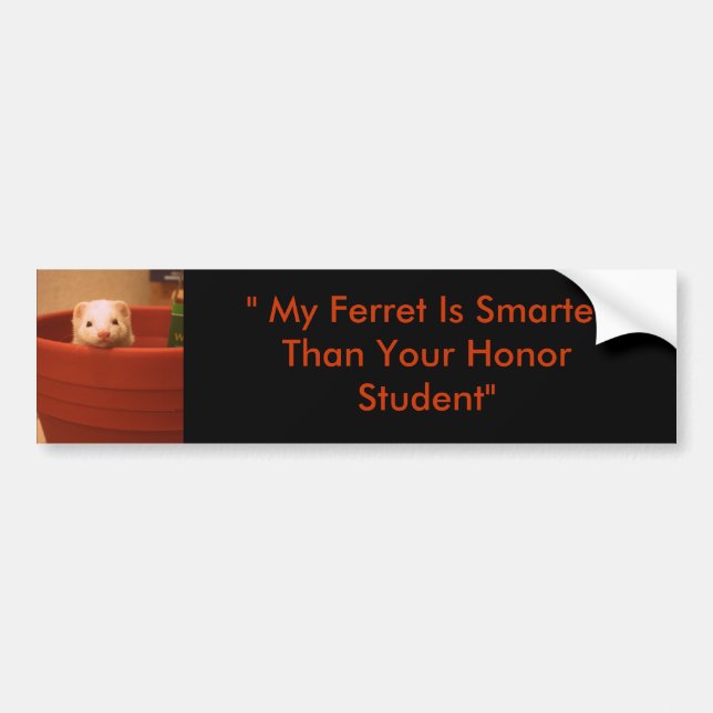 " My Ferret Is Smarter Than Your Honor Stud... Bumper Sticker (Front)