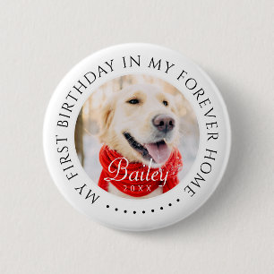 My First Birthday Forever Home Modern Pet Photo Button