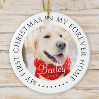 My First Christmas Forever Home Modern Pet Photo