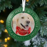 My First Christmas Forever Home Modern Pet Photo Glass Ornament<br><div class="desc">This simple and classic design is composed of serif typography and add a custom photo. "My First Christmas in my forever home" encircles the custom photo.</div>