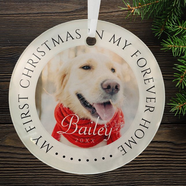 My First Christmas Forever Home Modern Pet Photo Glass Ornament (Creator Uploaded)