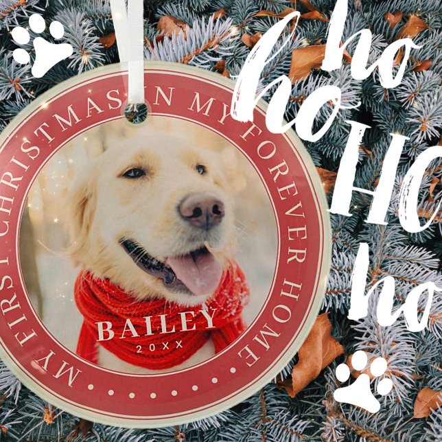 My First Christmas Forever Home Modern Pet Photo Glass Ornament (Creator Uploaded)
