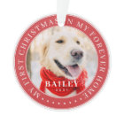 My First Christmas Forever Home Modern Pet Photo