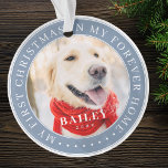 My First Christmas Forever Home Modern Pet Photo Ornament<br><div class="desc">This simple and classic design is composed of serif typography and add a custom photo. "My First Christmas in my forever home" encircles the custom photo.</div>