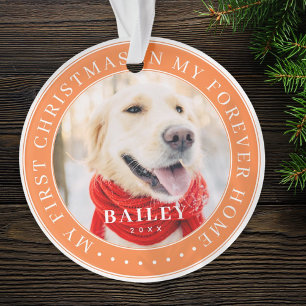 My First Christmas Forever Home Modern Pet Photo Ornament