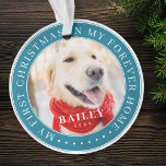 My First Christmas Forever Home Modern Pet Photo Ornament<br><div class="desc">This simple and classic design is composed of serif typography and add a custom photo. "My First Christmas in my forever home" encircles the custom photo.</div>