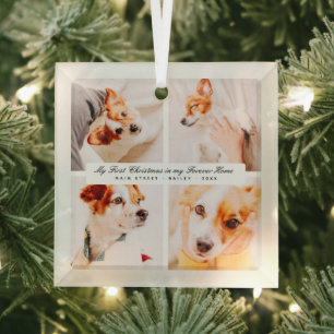 My First Christmas Forever Home Modern Pet Photos Glass Ornament