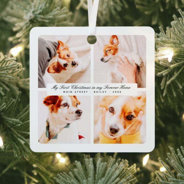 My First Christmas Forever Home Modern Pet Photos Metal Ornament (Insitu)