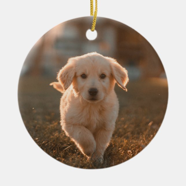 My First Christmas Modern Script Puppy Pet Photo Ceramic Ornament (Front)