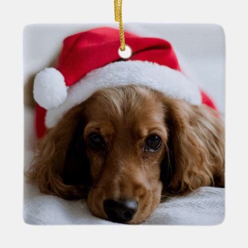 My First Christmas Pet 2 Photo Name Ceramic Ornament