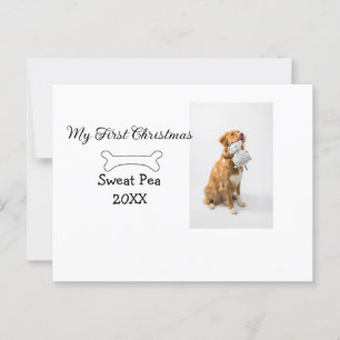 My first Christmas pet animal photo name year bone Postcard