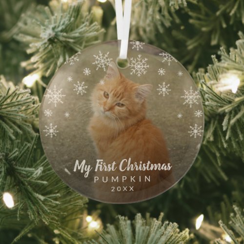 My First Christmas Snowflakes Cat Photo Glass Ornament