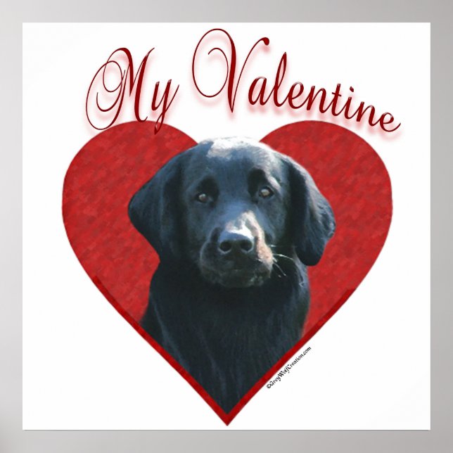 My Flat-Coated Retriever Valentine Poster (Front)