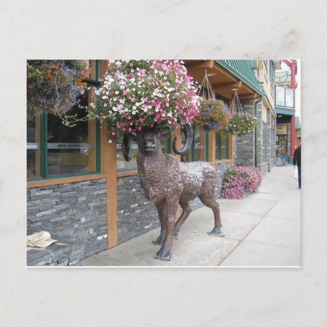 My Flower Hat Postcard (Front)