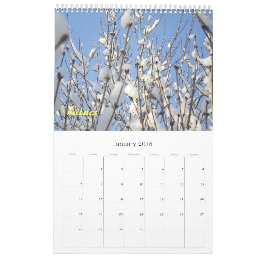 My Flowers 2012 Calendar