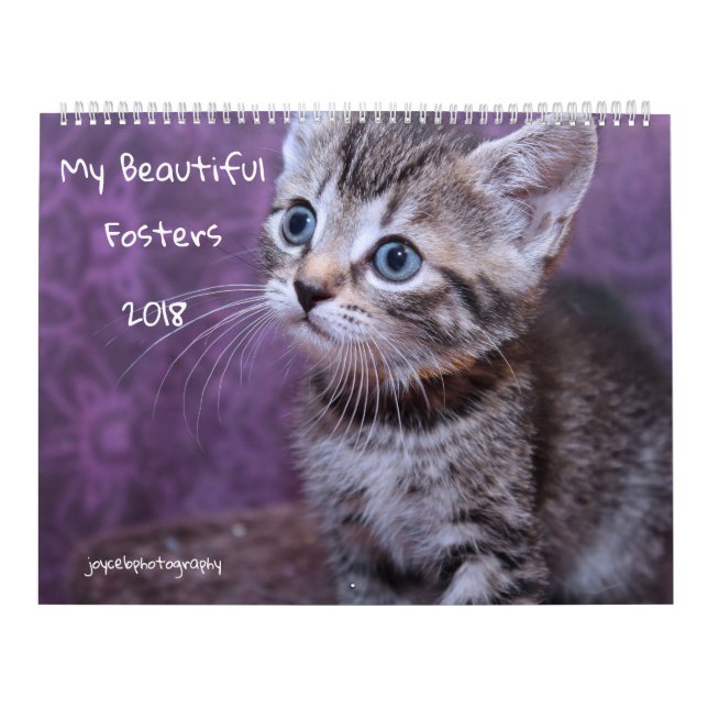 MY FOSTER KITTENS 2018 CALENDAR (Cover)