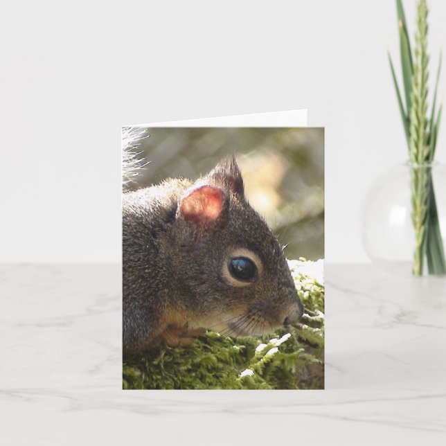 My Friend Fuzzy Card (Front)