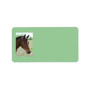 My Friend, The Horse Address Labels