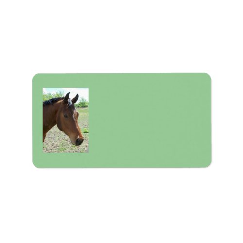 My Friend The Horse Address Labels