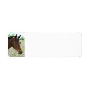 My Friend, The Horse - Personalized Label