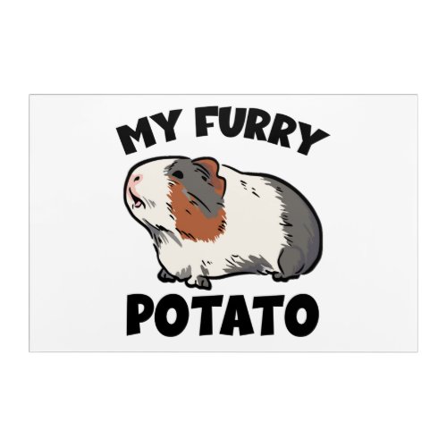 My furry potato guinea pig acrylic print